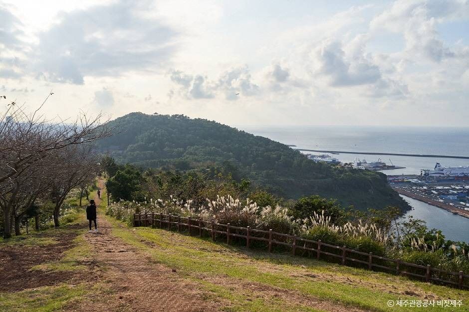 제주 가볼만한 곳 별도봉