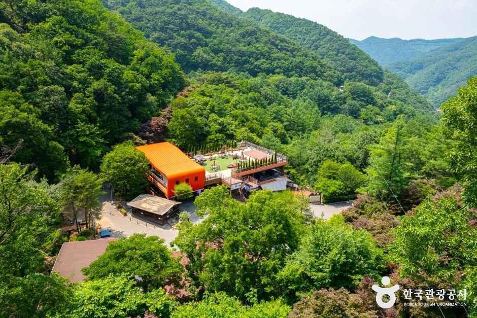 좌구산 자연휴양림
