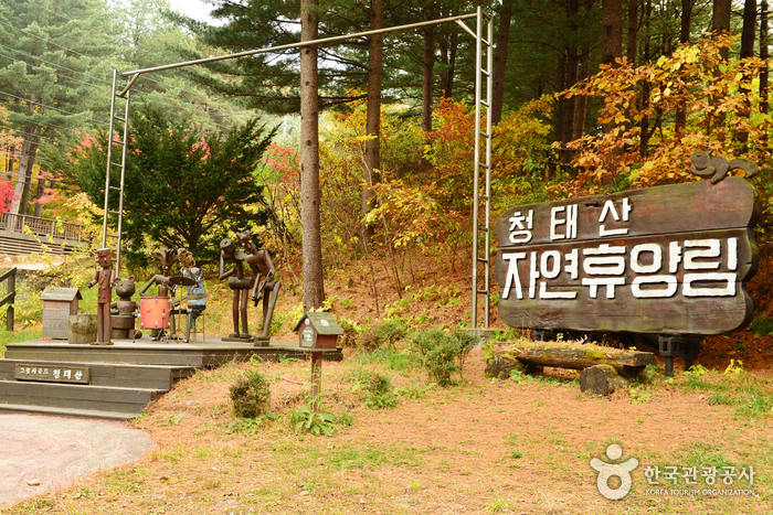국립 청태산자연휴양림