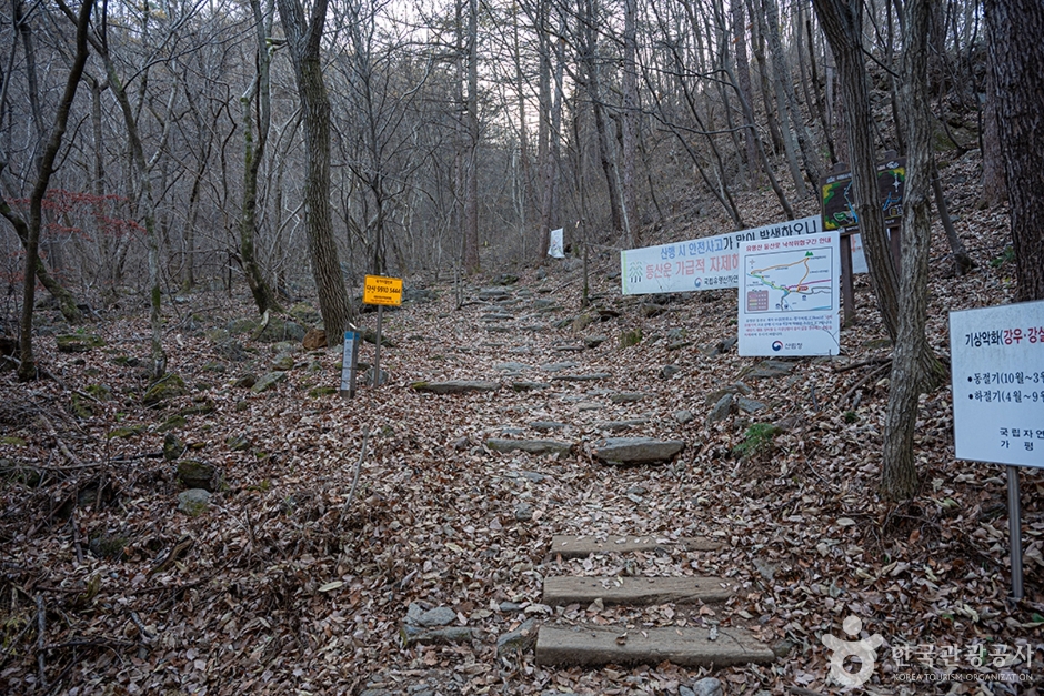 유명산