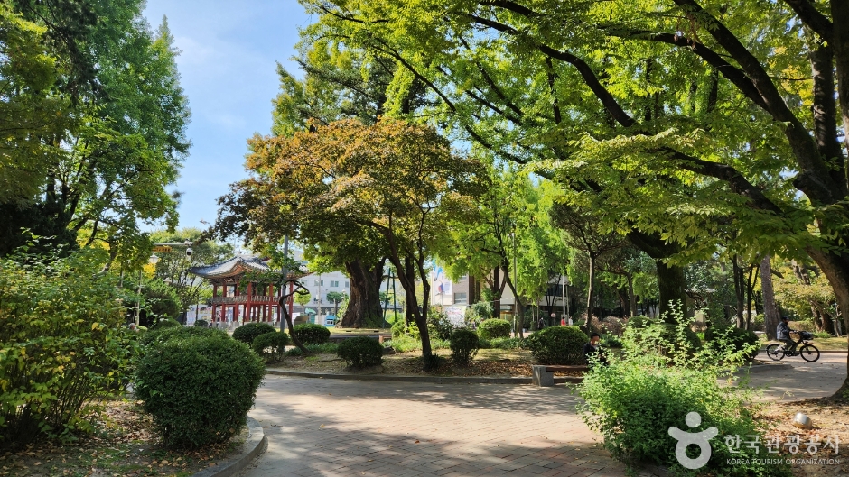 청주 중앙공원