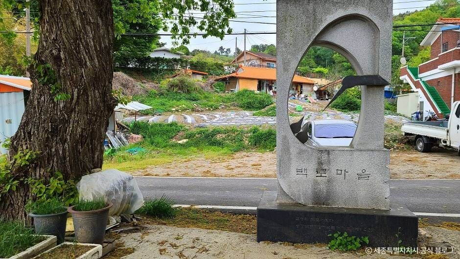 세종 가볼만한 곳 금남 백로 서식지
