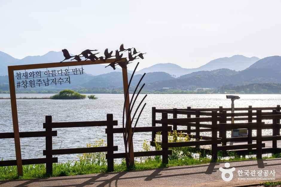 주남저수지 철새도래지