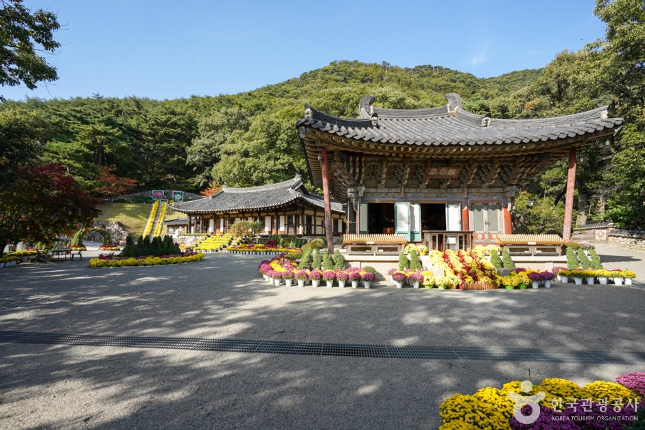 도리사(구미)