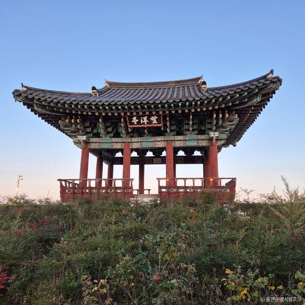 망양정