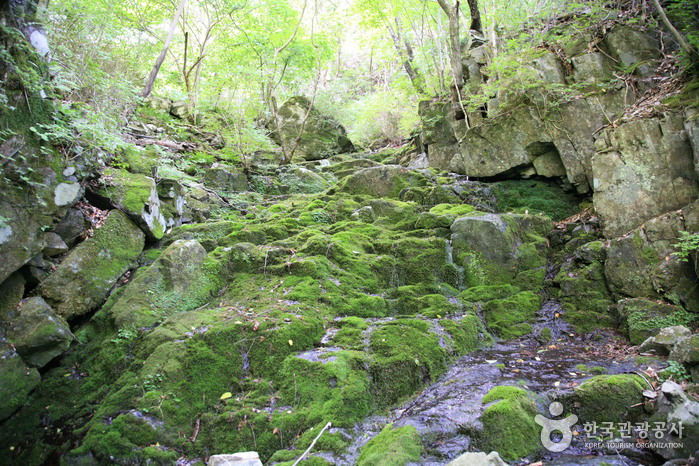 운장산