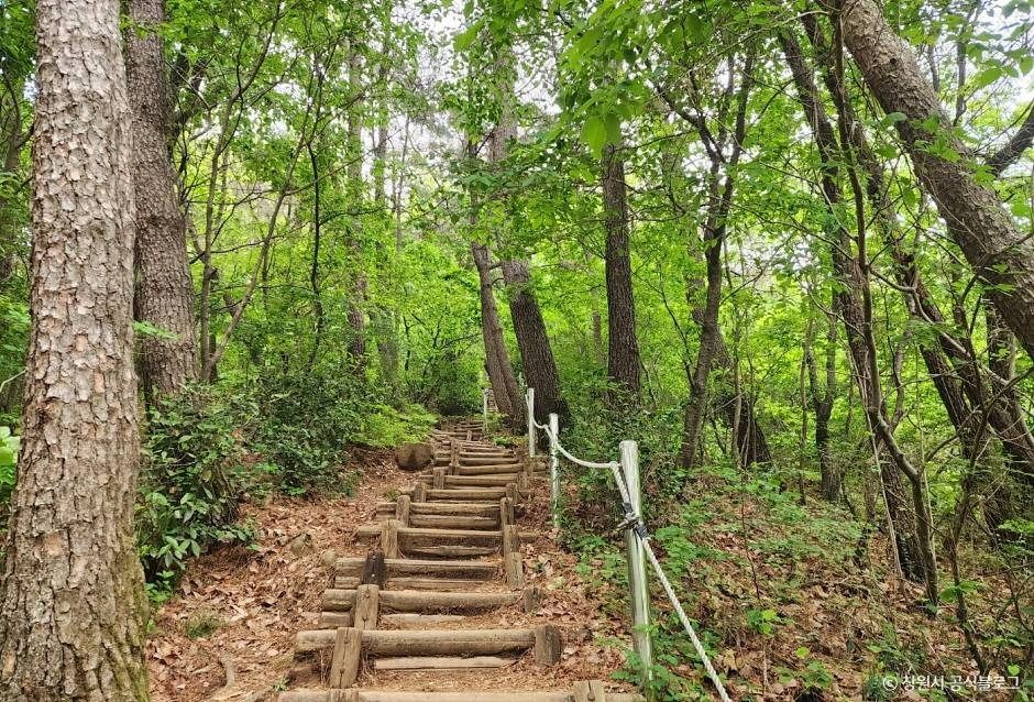 정병산