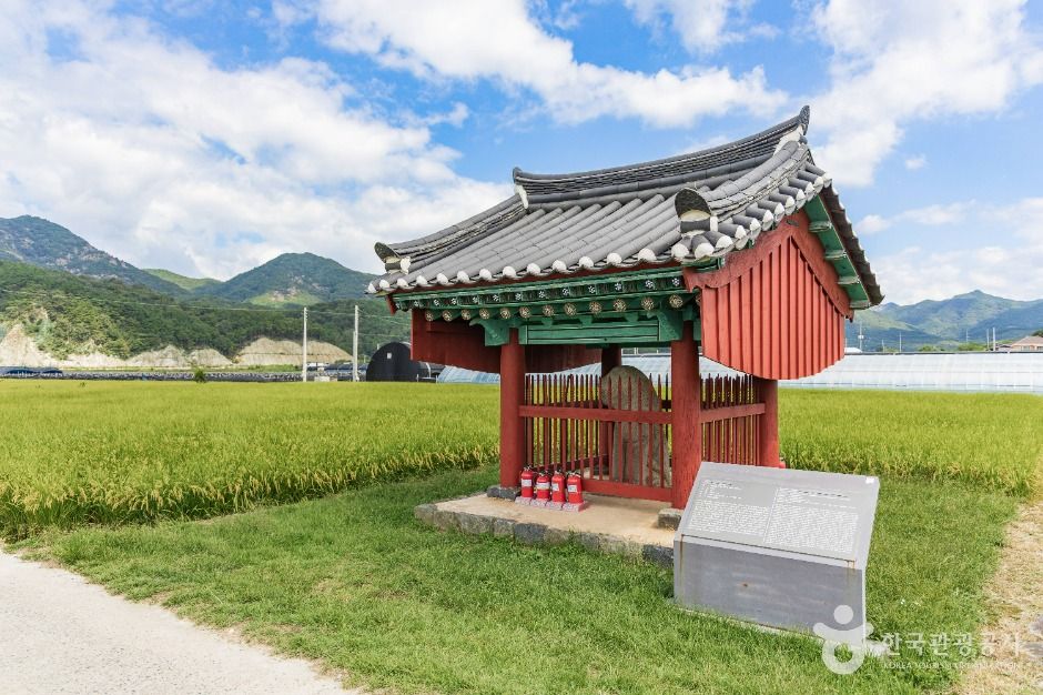 금산 천내리 용호석