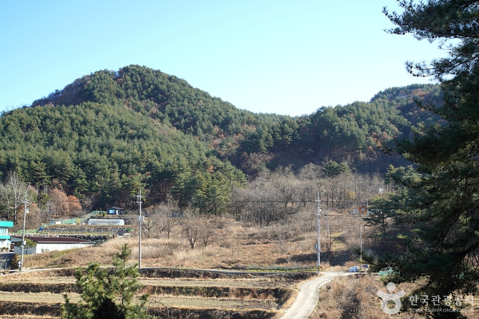 청대산