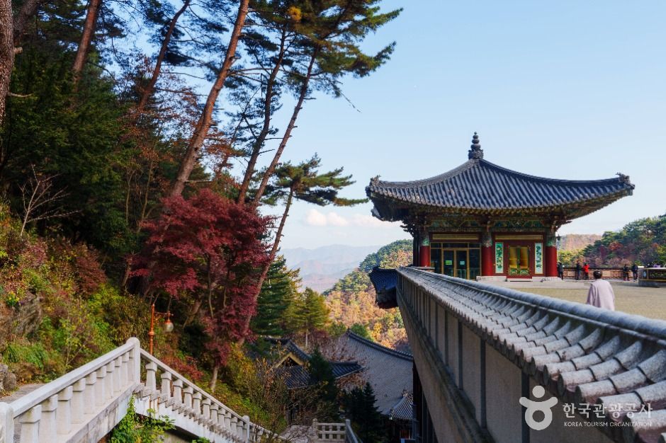 구인사(단양)