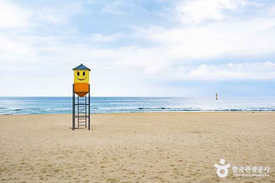 증산해변