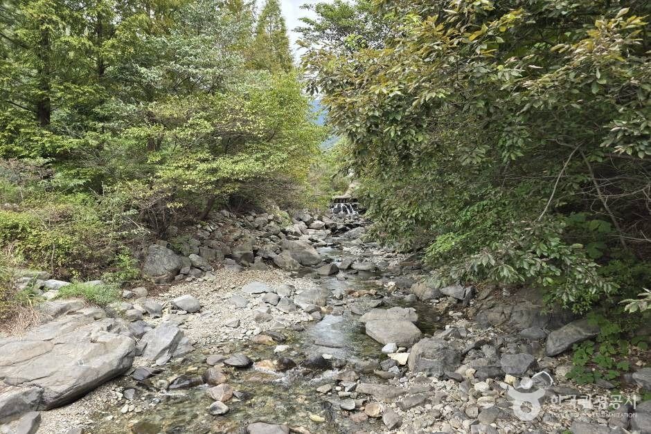 청계계곡