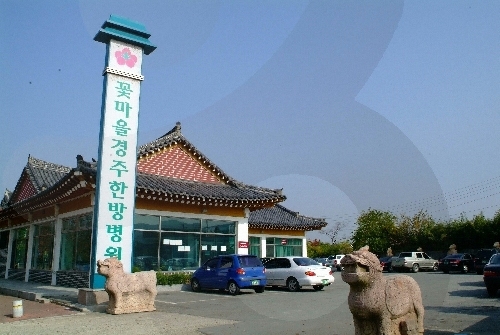 꽃마을 경주한방병원