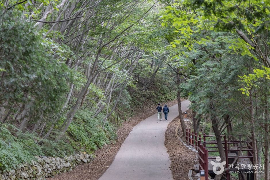 금산(남해)