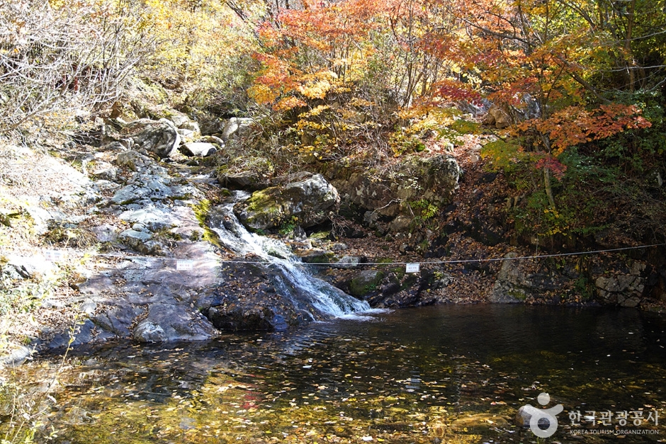 국립 복주산자연휴양림