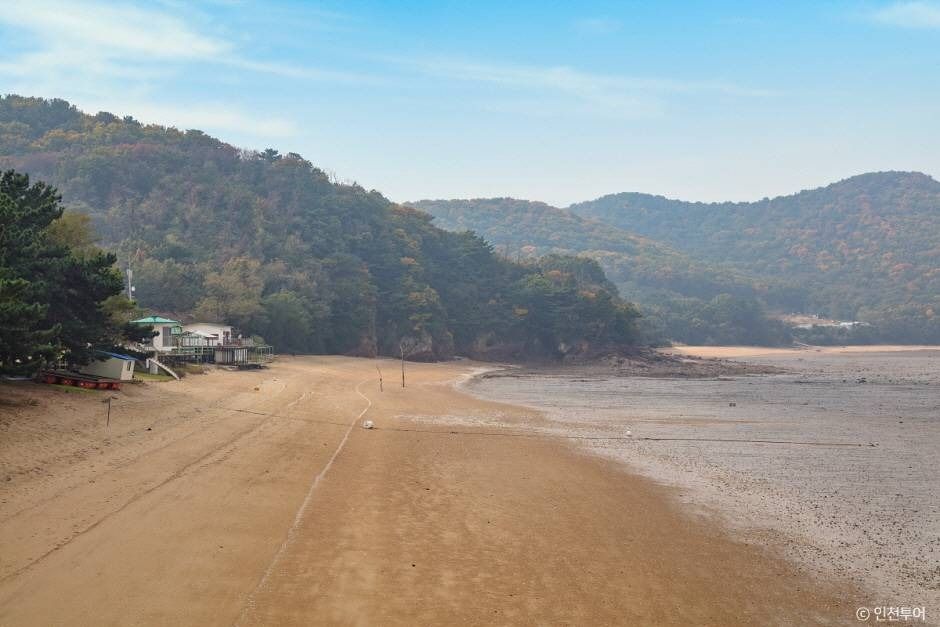 진촌해변