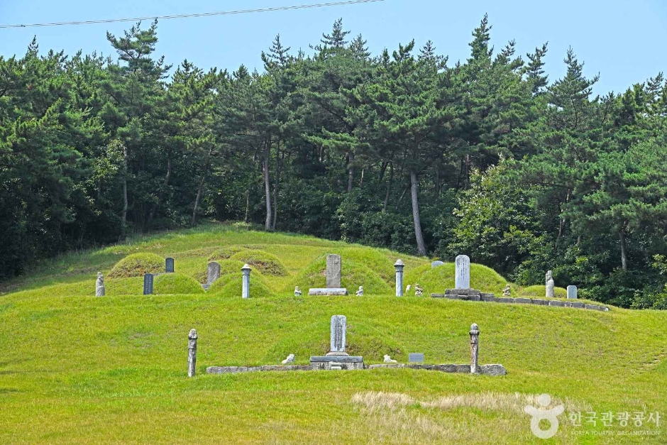 이지함선생묘