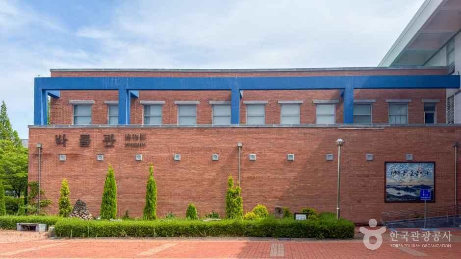 국립군산대학교 박물관