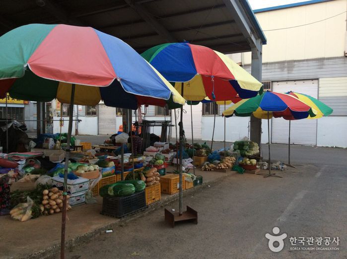 전남 쇼핑 명소 해남장 (1, 6일)