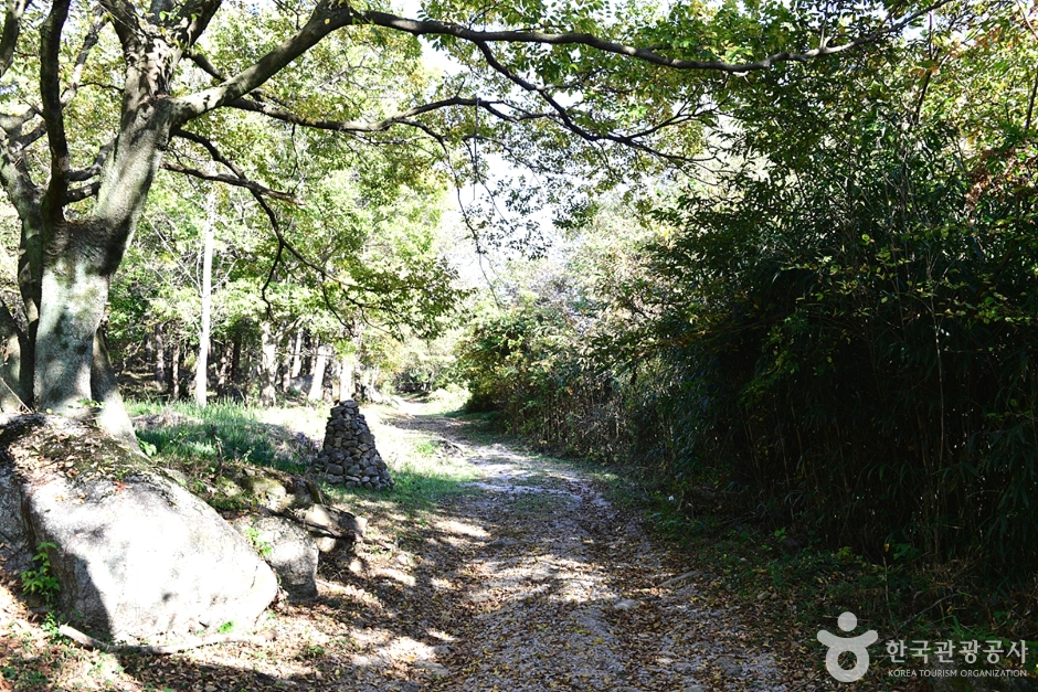 고산