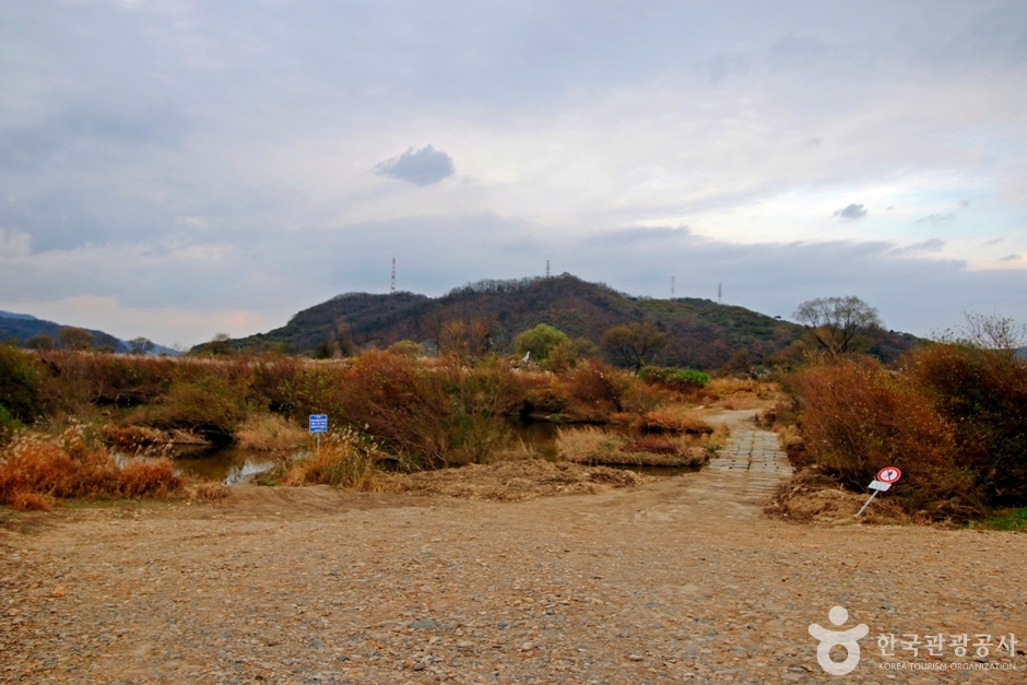 봉황경(능암리섬)