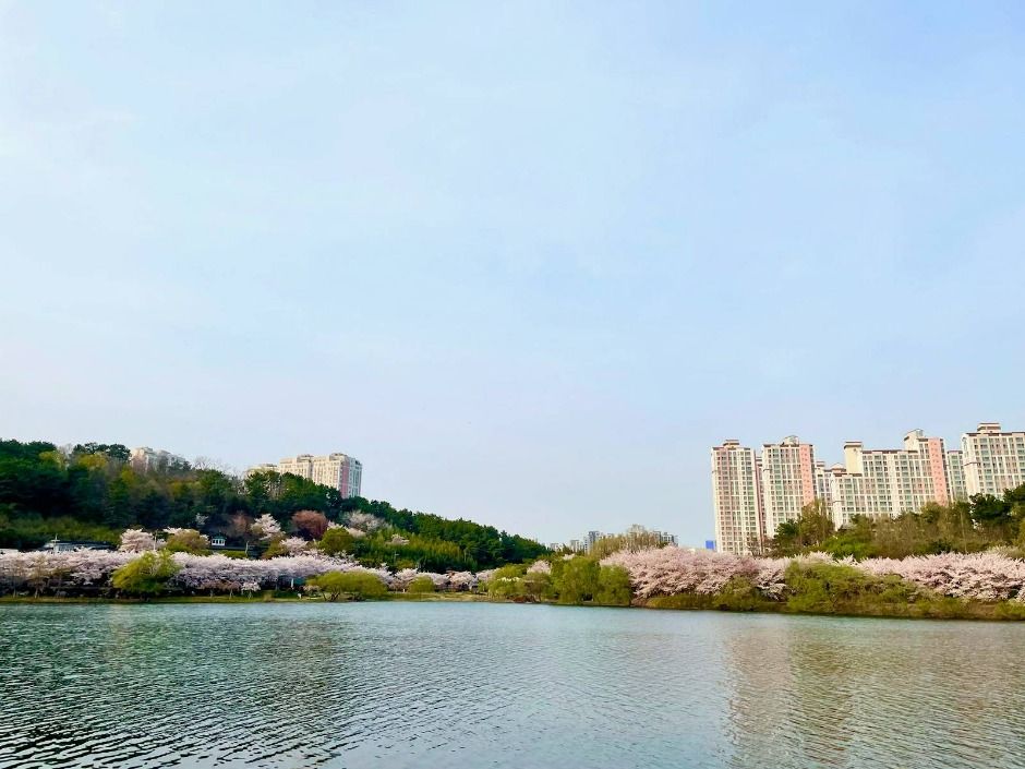 선암호수공원