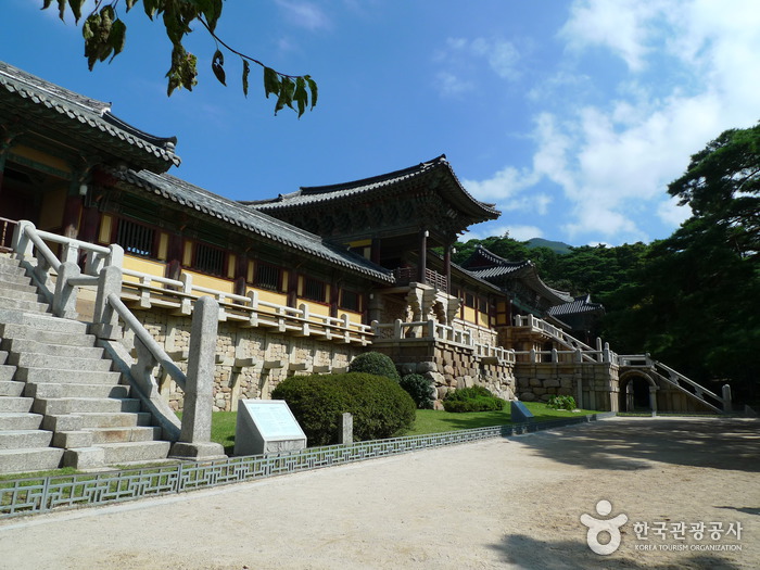 경북 여행코스 경주 최고의 문화유산을 만나다