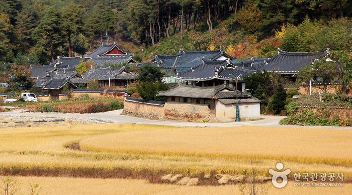 경북 여행코스 금계포란형, 닭실마을의 풍수지리를 들여다 보자!