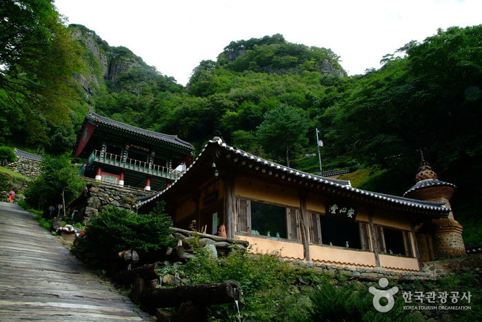 경북 여행코스 청량산에 올라 하늘다리를 건너다