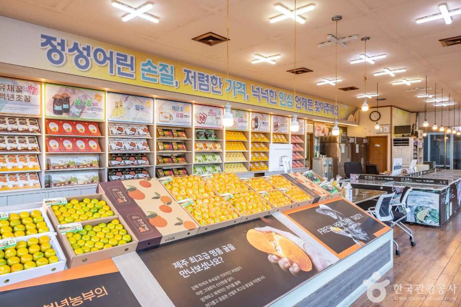 제주 쇼핑 명소 중문농수산물직판장