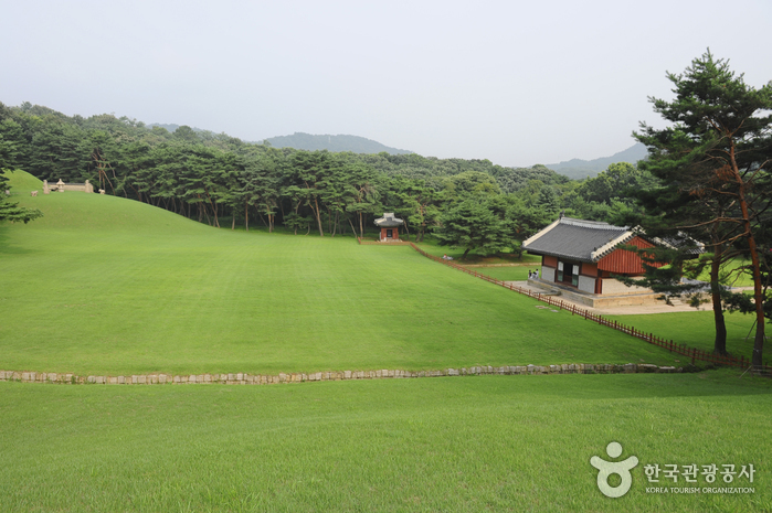 유네스코 지정 문화유산 안을 거닐다