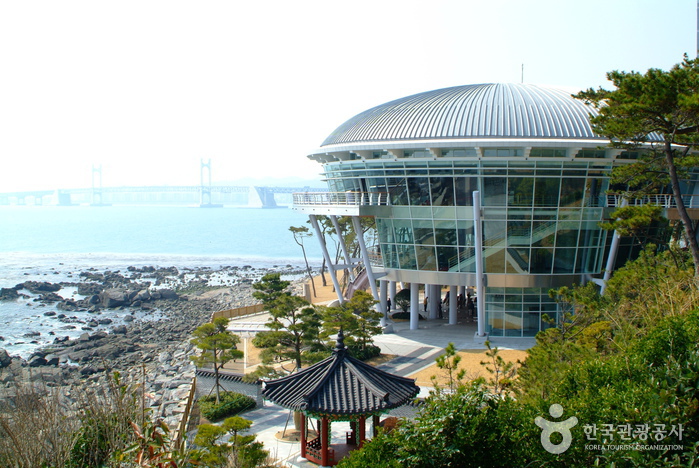 부산 여행코스 해운대를 지나 문탠로드를 걷다