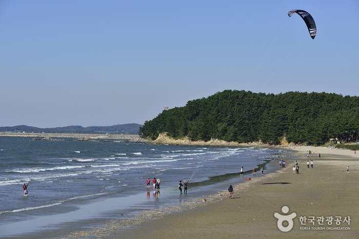 충남 여행코스 해송숲에서 즐기는 캠핑여행