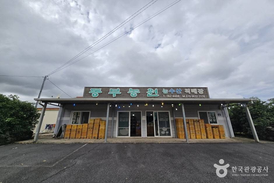 제주 쇼핑 명소 동부농원