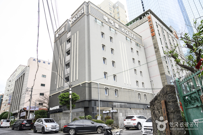 제주 숙소 제주 메이플호텔