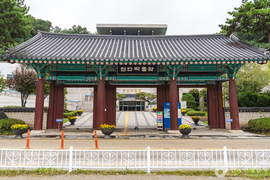 천안박물관