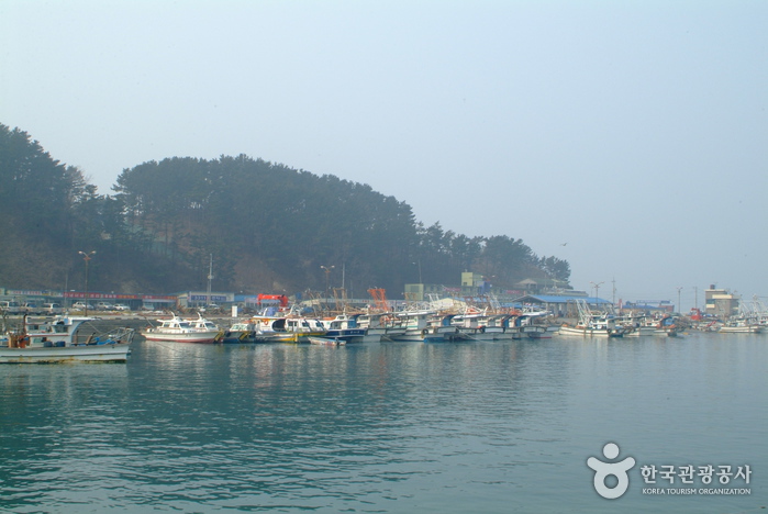 충남 여행코스 바닷가 풍경이 아름다운 곳에서 체험까지