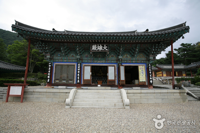 포항의 절경을 찾아 떠나자!