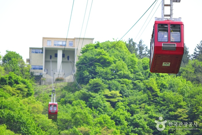 울릉도에서 독도에 서다