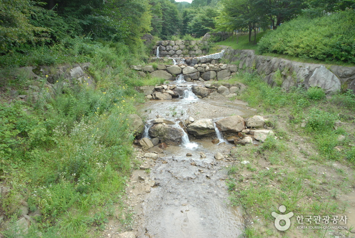소백산 산행과 풍기 인삼장