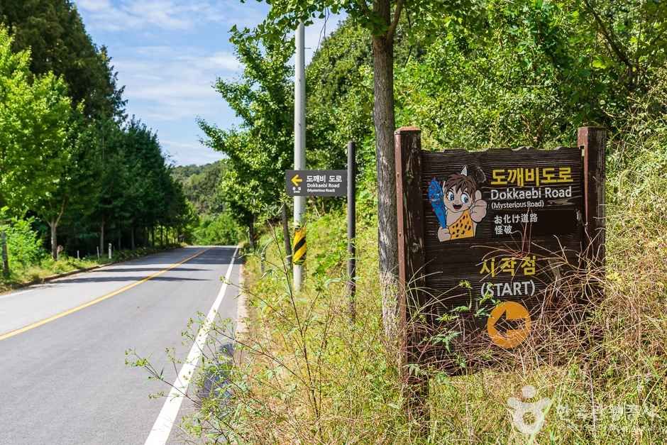 세종 가볼만한 곳 비암사 도깨비도로