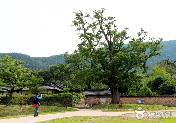 해남 땅끝에서 1박 2일 코스