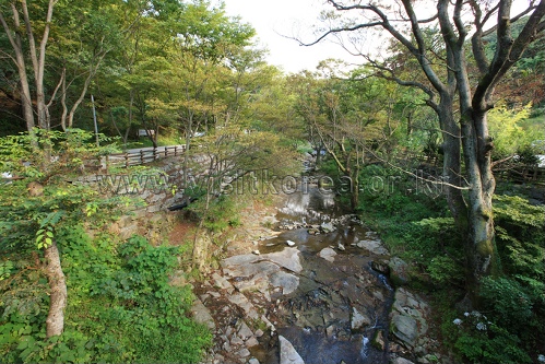 충남 아산시 웰빙코스