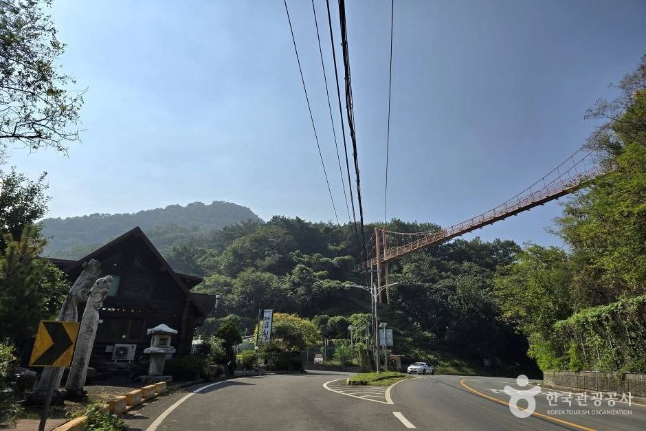 마금산