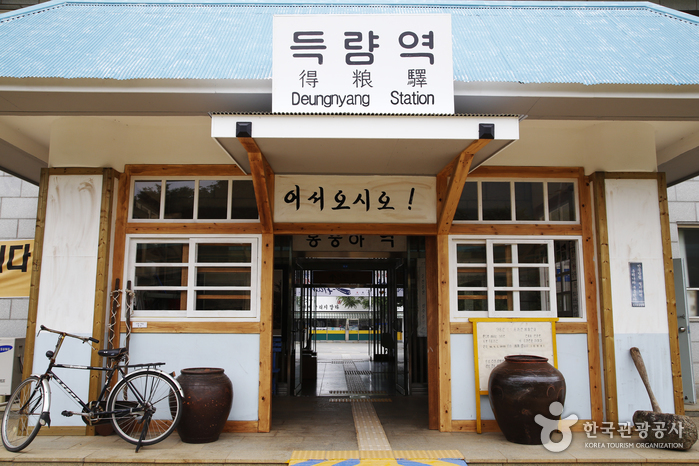 청량한 남도의 숲