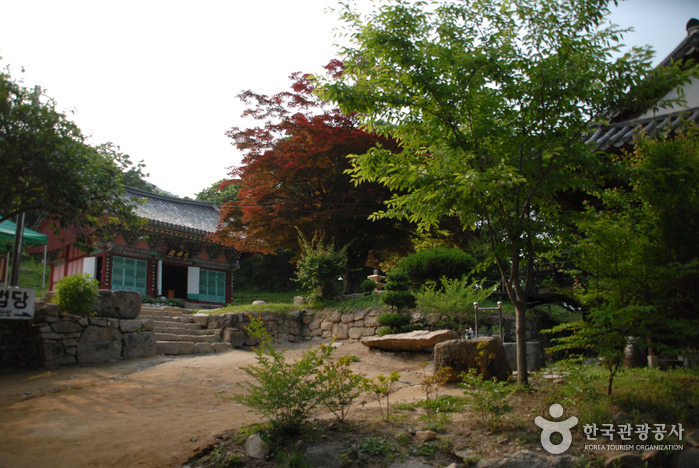 충북 여행코스 봄볕 선율, 봄바람 가락