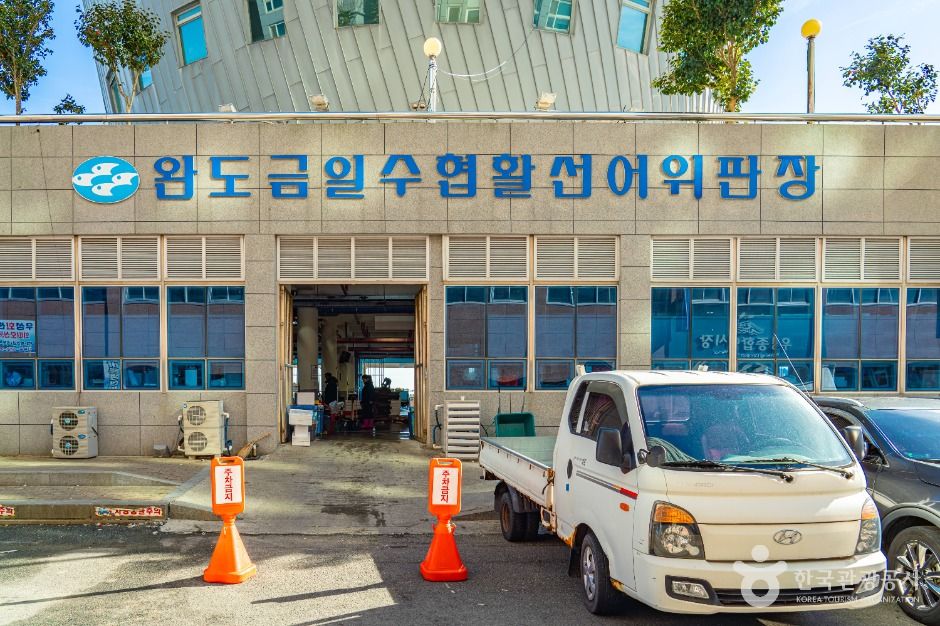 전남 쇼핑 명소 완도 금일 수협활·선어위판장