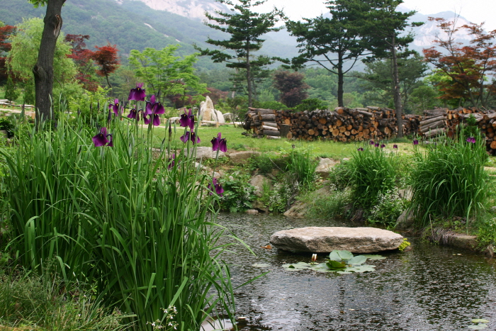 슬로우 슬로우~ 시원한 강바람을 맞으며 달리다.