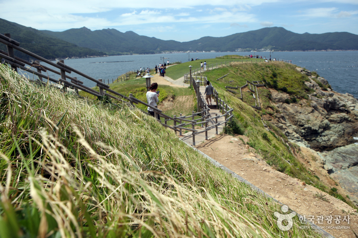700리 해안의 풍광을 따라 달리는 지상 최고의 드라이브