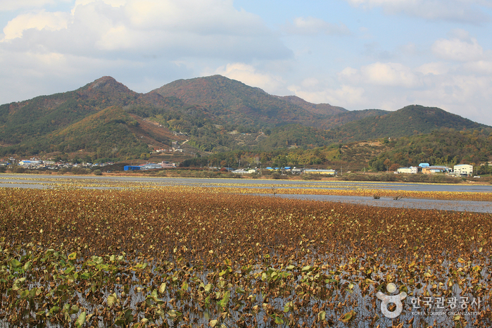 바다, 항구, 문화, 예술을 품은 카멜레온의 도시
